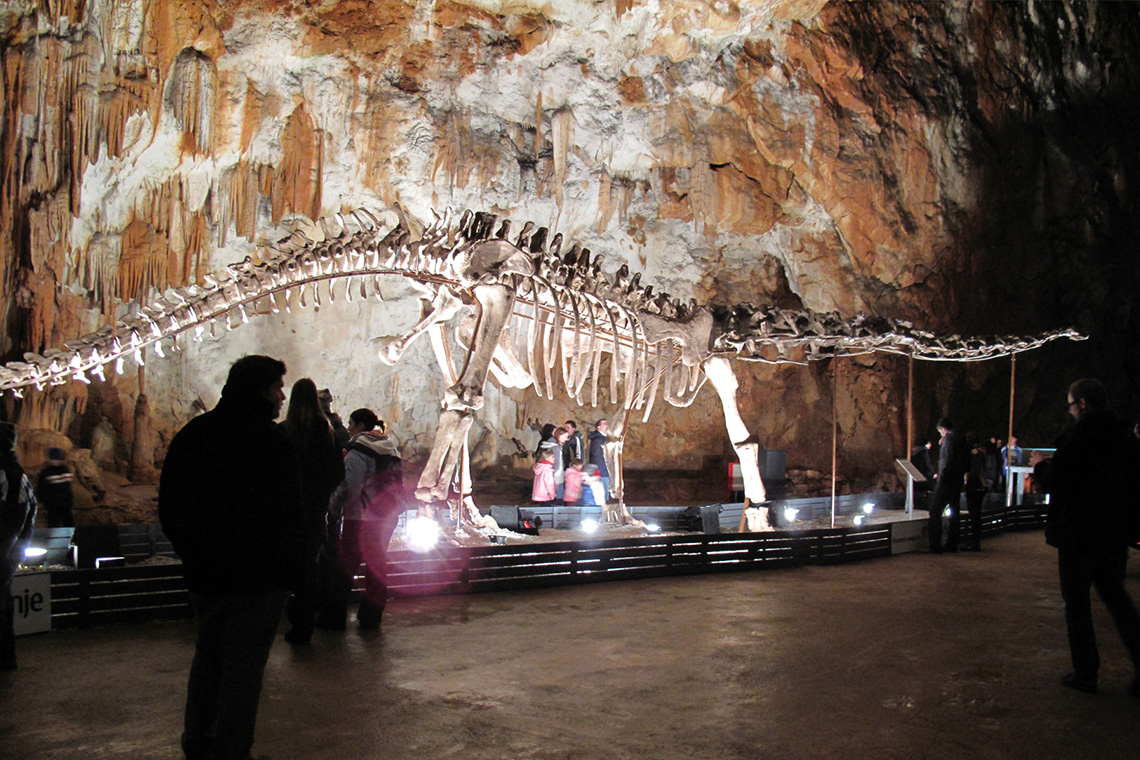Archäologischer Fund des Jahrhunderts: Die Entdeckung einer bisher unbekannten Dinosaurierfossilie zwingt dazu, die Evolutionsgeschichte neu zu schreiben