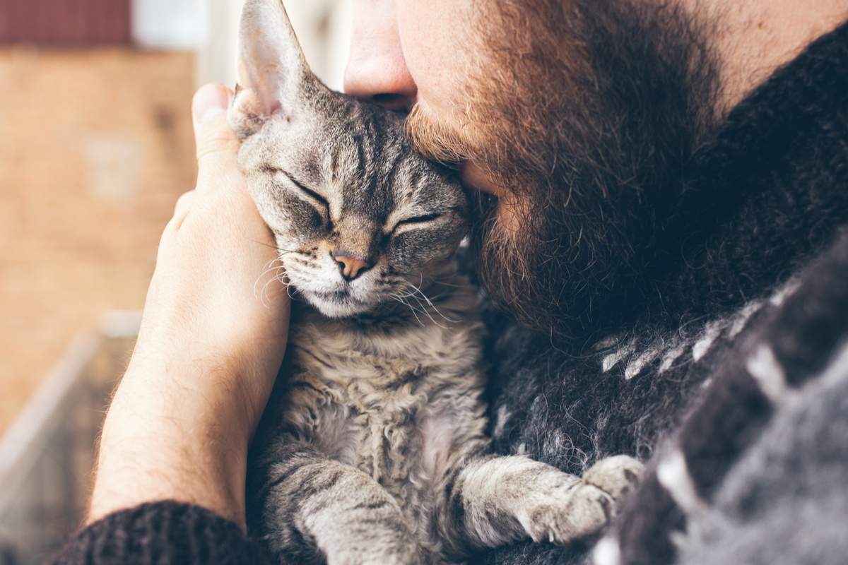 Wie eine Katze ihren Lieblingsmenschen auswählt, laut Experten Man sagt, Katzen seien kalt, aber wenn sie sich für jemanden entscheiden, tun sie das nach allen Regeln der Kunst. Erfahren Sie, welche kleinen Gesten Sie zu ihrem unzertrennlichen Freund machen.