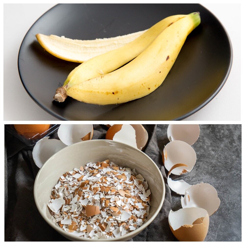 Mischen Sie Bananenschalen und Eierschalen: Warum ist das empfehlenswert und wozu dient es?
