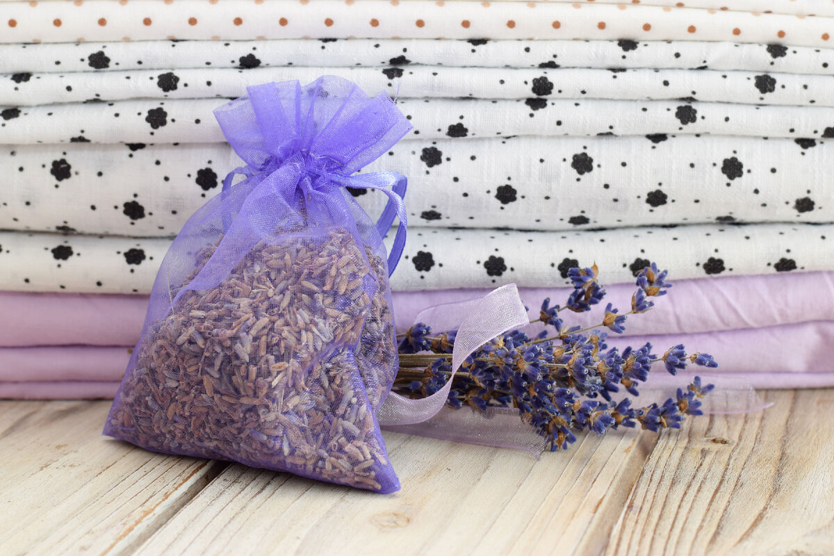 Aromabeutel mit Lavendel – wie stellt man sie her? Wann sollte man Lavendel pflücken, damit er lange duftet?