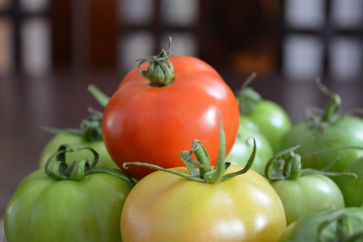 Haben Sie unreife Tomaten gekauft? Legen Sie sie an diesen Ort, und sie werden sofort rot