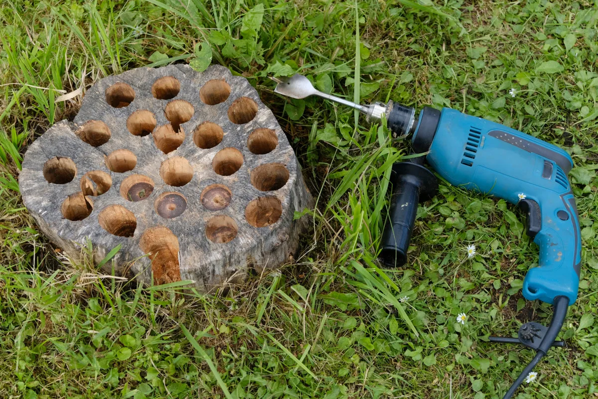 Ohne Mühe, Kosten oder den Einsatz eines Baggers können Sie Baumstümpfe ganz einfach aus Ihrem Garten entfernen.
