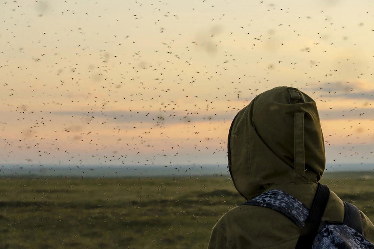 Repellentien sind gut, aber Jäger haben eine effektivere Methode, um Mücken auf dem Feld zu vertreiben.