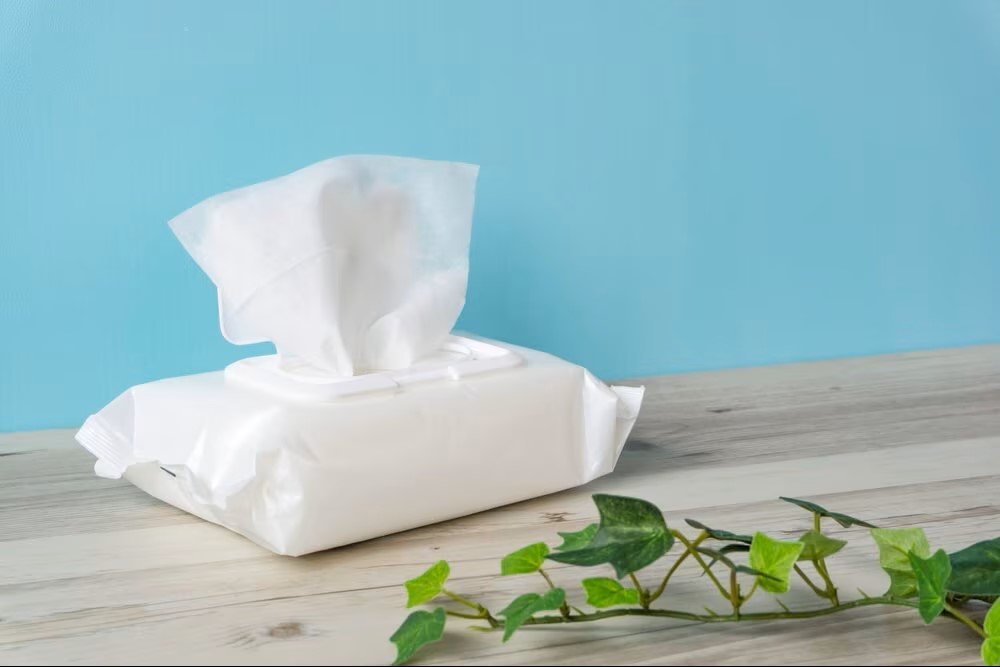 Eine Familie beschließt, vier Jahre lang kein Toilettenpapier zu verwenden und wählt günstigere, aber möglicherweise unerwartete Alternativen
