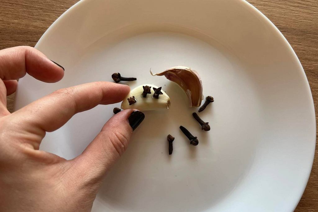 Keine Kerze, keine Falle. Stecken Sie Nelken in Knoblauch. Sie werden in Panik fliehen.