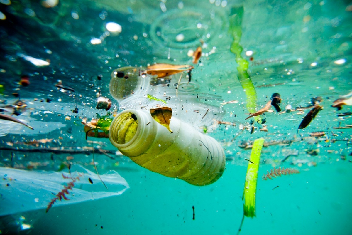 Zersetzt sich in Wasser. Dieses Material ist eine Alternative zu Plastik