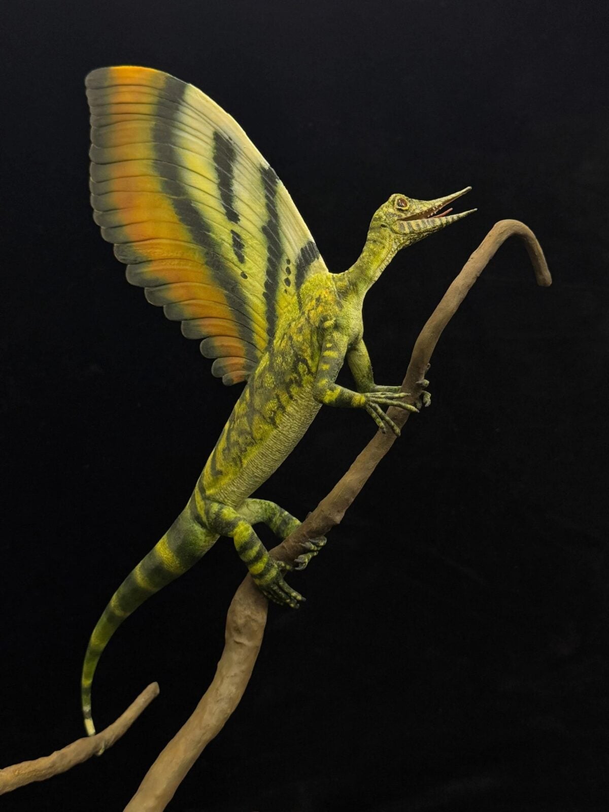 Eine Entdeckung in Frankreich stellt die Evolution auf den Kopf. Diese Versteinerung ist 247 Millionen Jahre alt