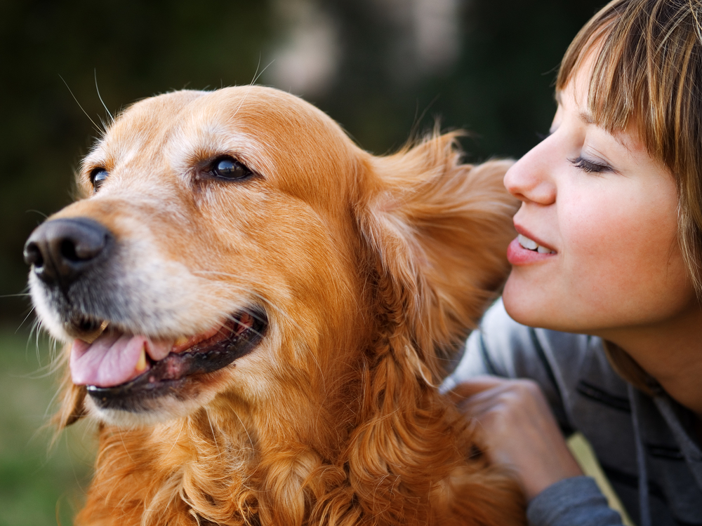 Die Psychologie sagt das über Menschen, die mit ihrem Hund oder ihrer Katze sprechen.