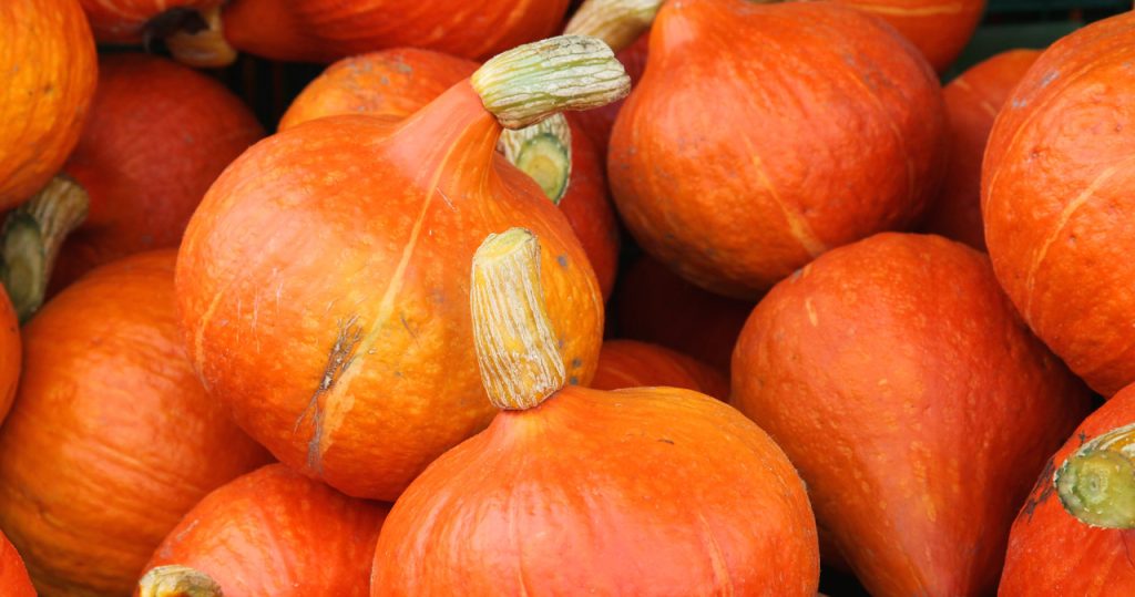 Dies ist der beste Kürbis für Suppe und Pfannkuchen. Sie müssen es nicht einmal schälen