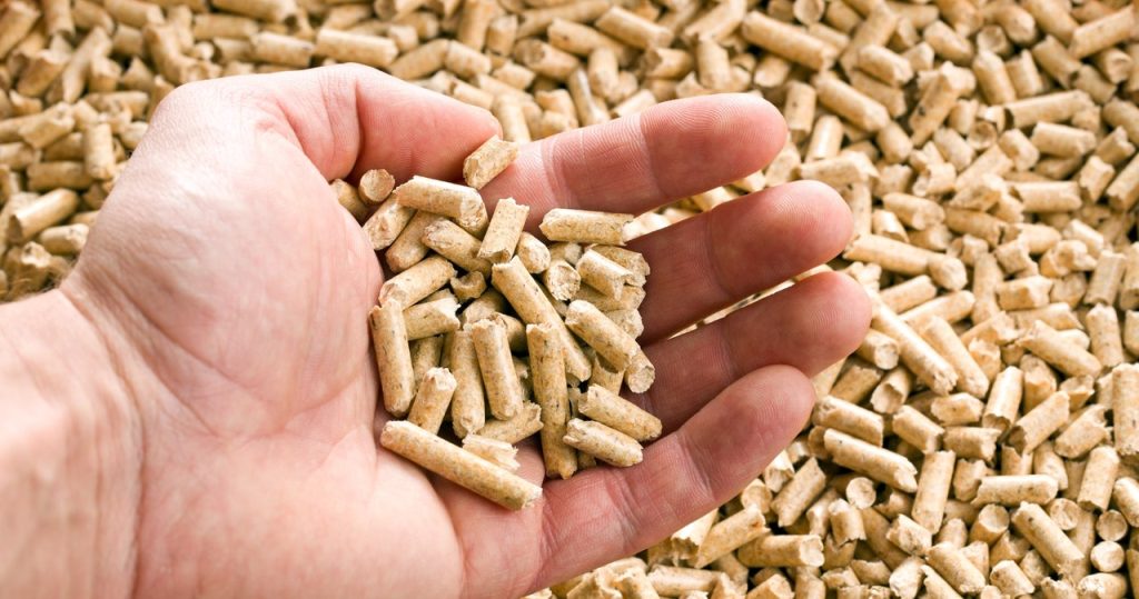 Wir werden so viel für Pellets bezahlen. Die Preise steigen jetzt, lohnt es sich, den Kauf zu verzögern? 