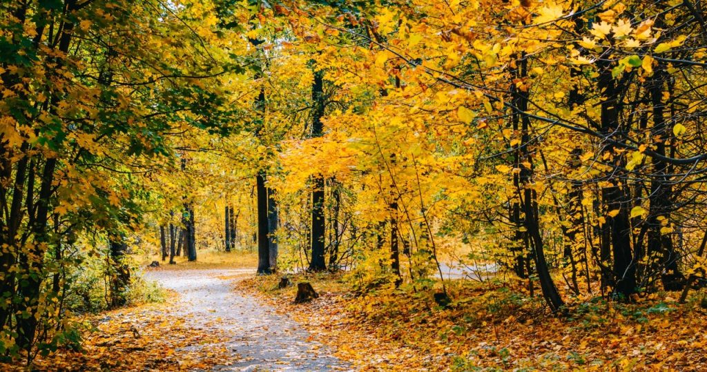 Für einen Spaziergang und einen Fahrradausflug. Dieser Ort ist im Herbst beeindruckt