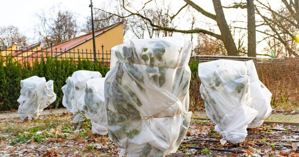 Wann beginnen Frosts in Polen? Dieses Jahr werden sie viel früher kommen 