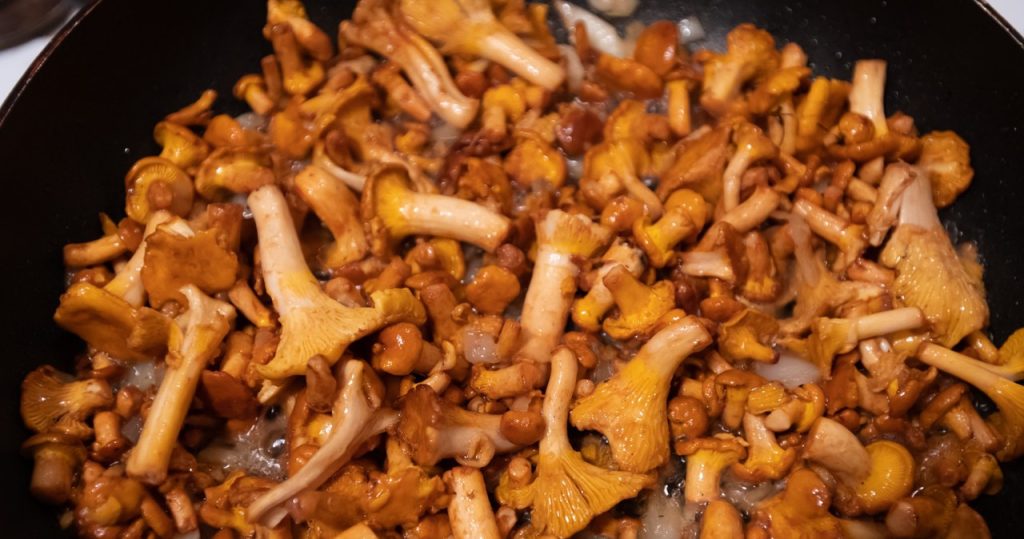 Diese Pilze sollten nicht braten und gesalzen sein. Verlieren Sie ihre Gesundheitseigenschaften