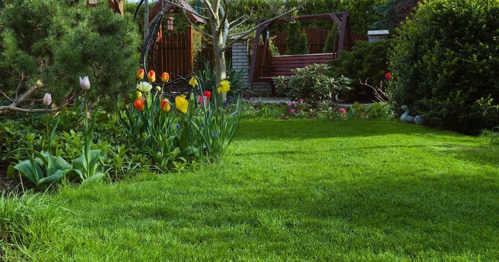 Der Rasen braucht jetzt Ihre Aufmerksamkeit. Tun Sie es, wenn Sie im Frühling einen üppigen Rasen haben möchten