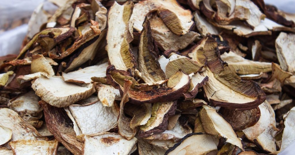 Getrocknete Pilze Schimmel? Dies ist ein Zeichen dafür, dass Sie diesen Fehler machen