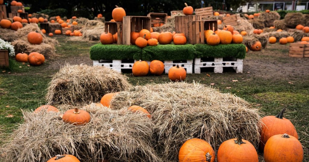 Sie müssen diesen Ort im September oder Oktober besuchen. Echte Herbstatmosphäre