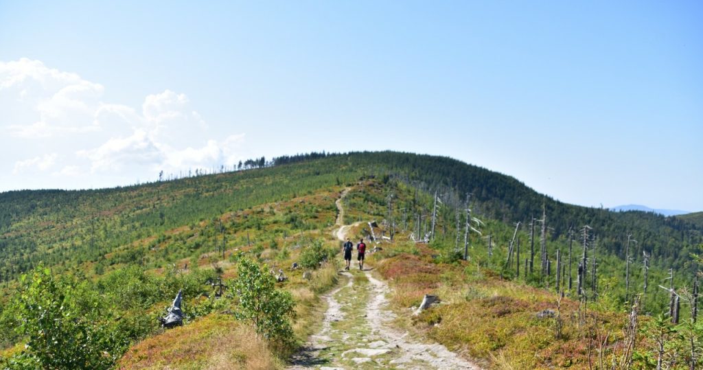 Eine der schönsten Herbstrouten. Sogar Amateure werden damit fertig werden