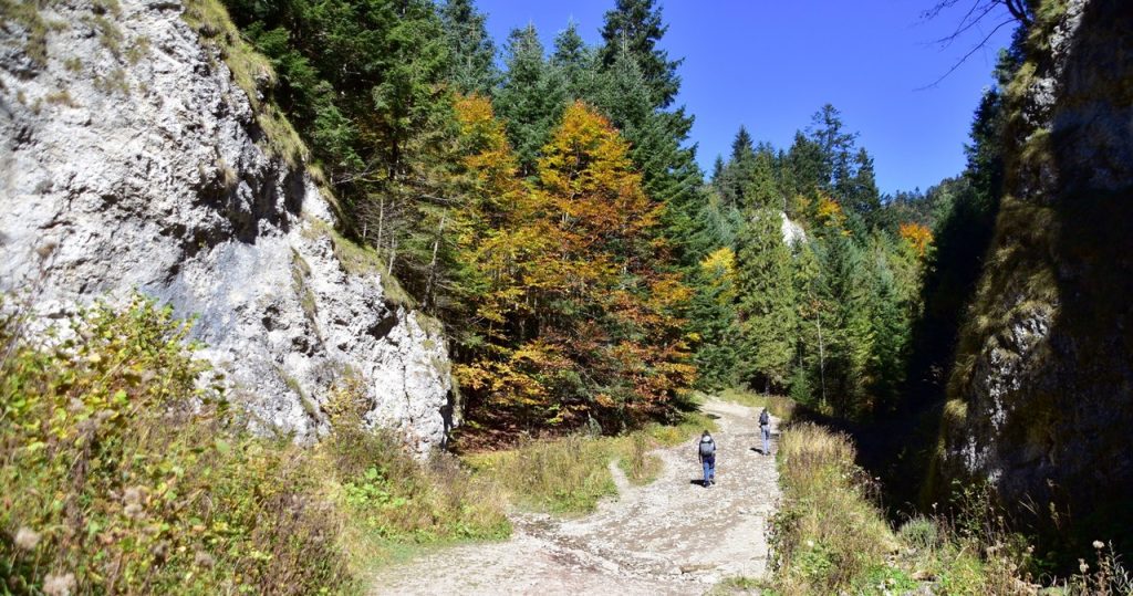 Touristen werden am häufigsten im Herbst ausgewählt. Sehr landschaftlich reizvoll und nicht sehr schwierig