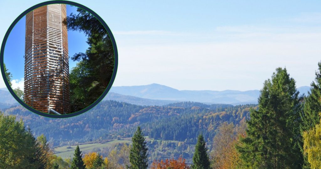 Einfacher Weg und Beobachtungsturm. Eine Idee für einen Spaziergang für alle
