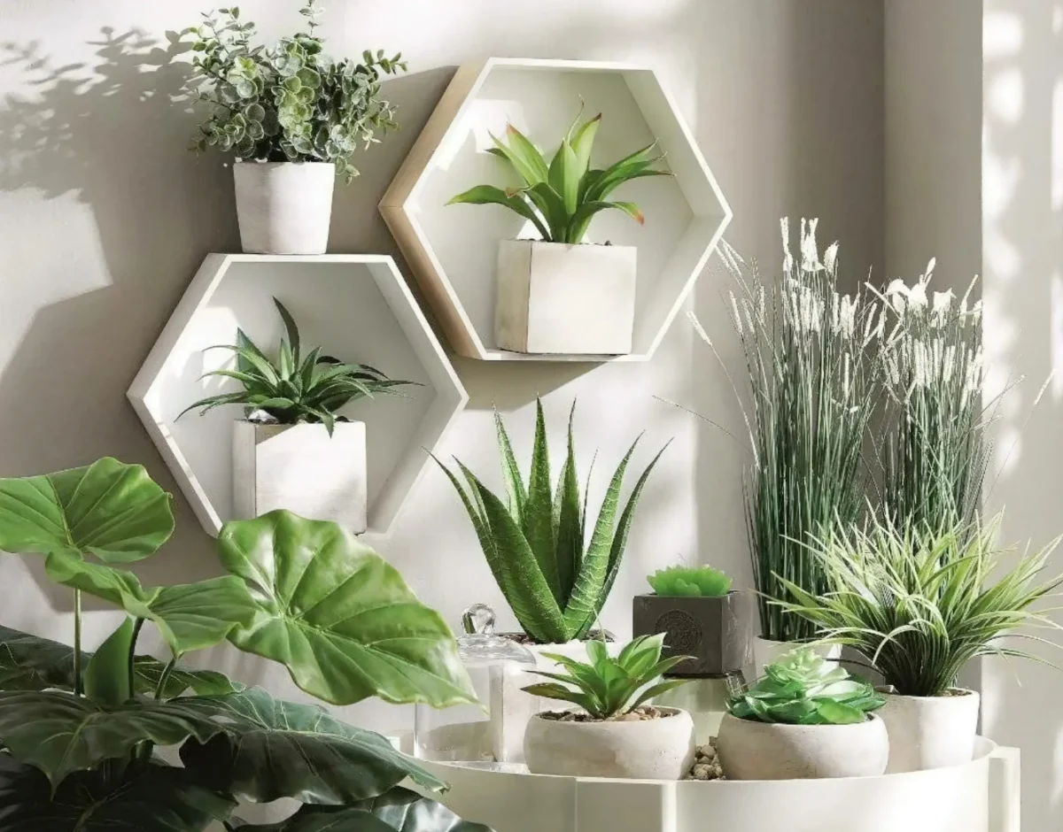 Aromatische Pflanzen für zu Hause: 12 Arten, die die Luft beduften und reinigen.