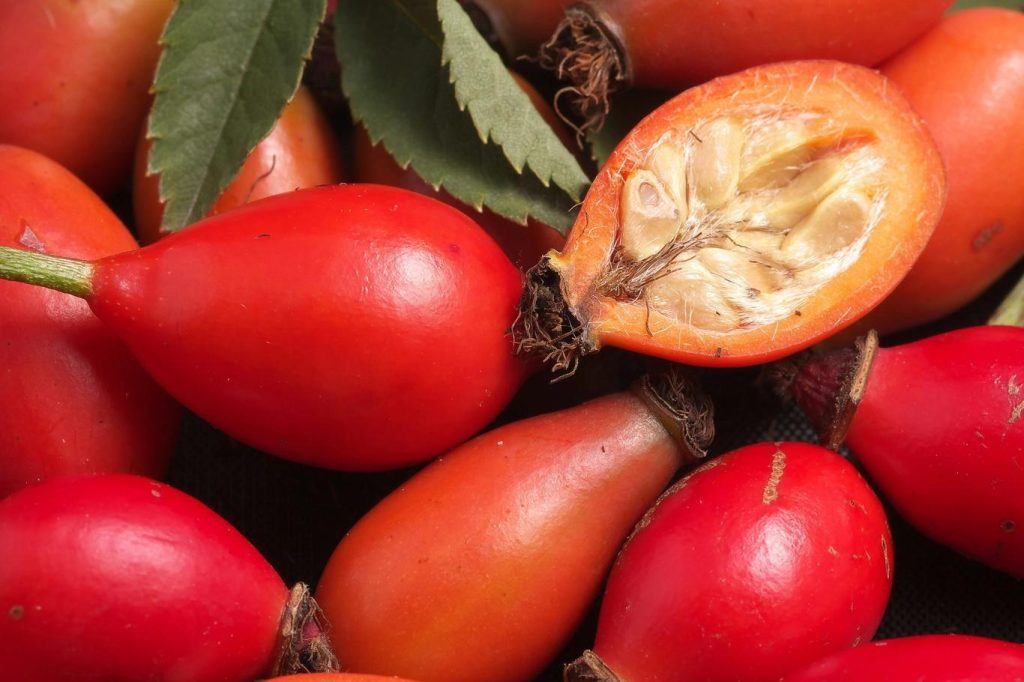 Sammeln Sie sie noch nicht? Verpassen Sie dieses Wunder der Natur nicht