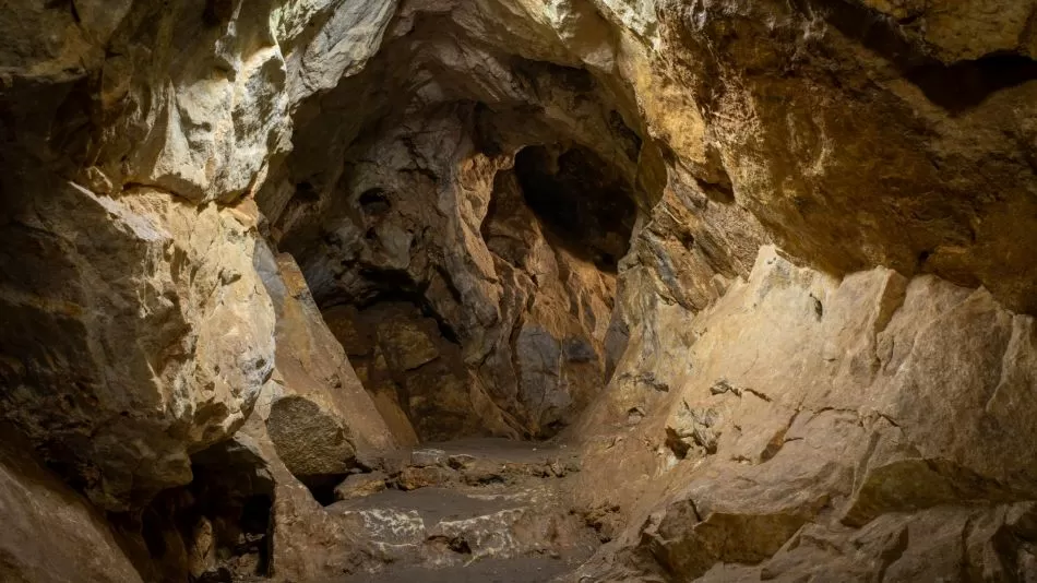 Beispiellose Entdeckung: Archäologen finden in China das Geheimnis der Herkunft des Menschen