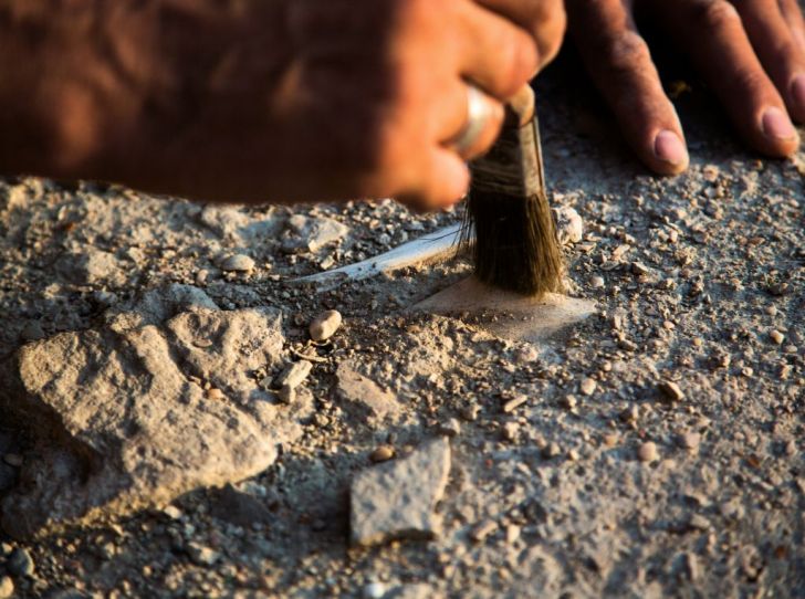 Beispiellose Entdeckung: Archäologen finden in China das Geheimnis der Herkunft des Menschen