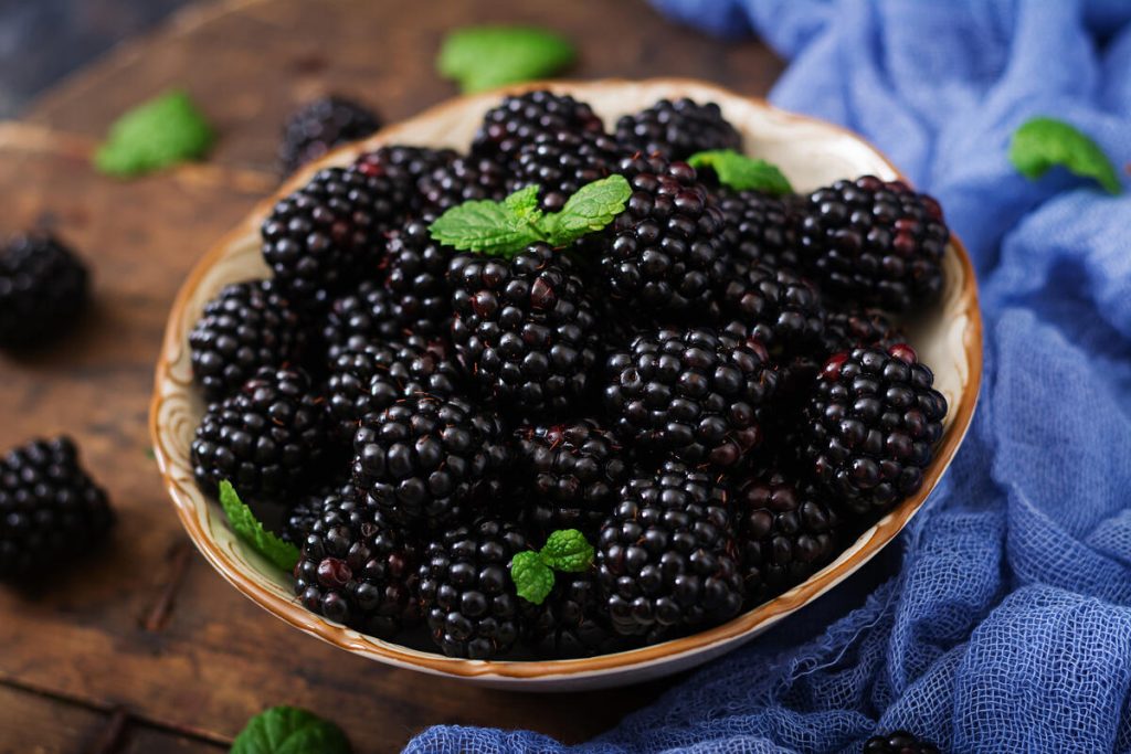 Diese schwarze Frucht hat enorme Kraft. Es senkt den Blutzucker, stärkt Sehen und Herz.